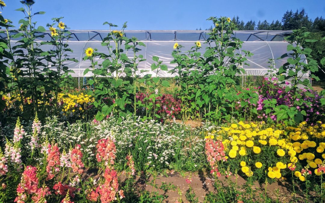 2019 Co-Op Farm Tours