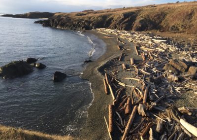 best things to do san juan island wa