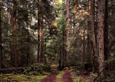 Bike shop ride San juan island friday harbor