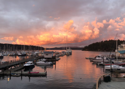things to do friday harbor san juan island wa