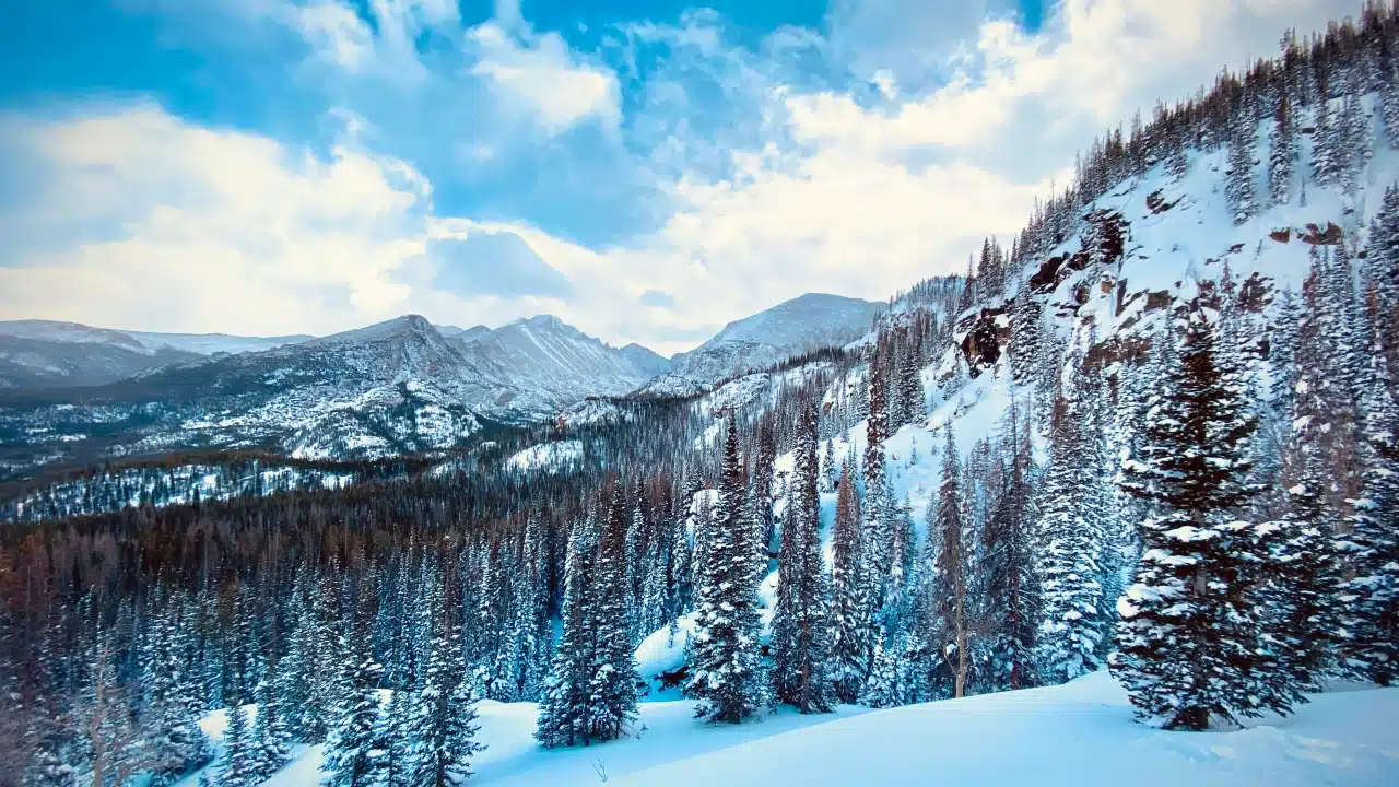 winterimage