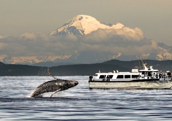 Getting to San Juan Island